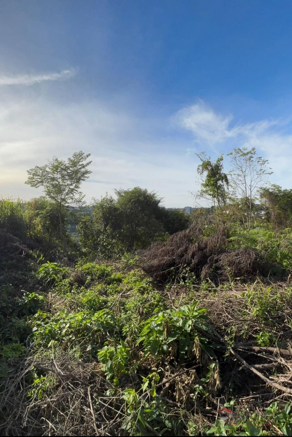 Ferreira Negócios Imobiliários