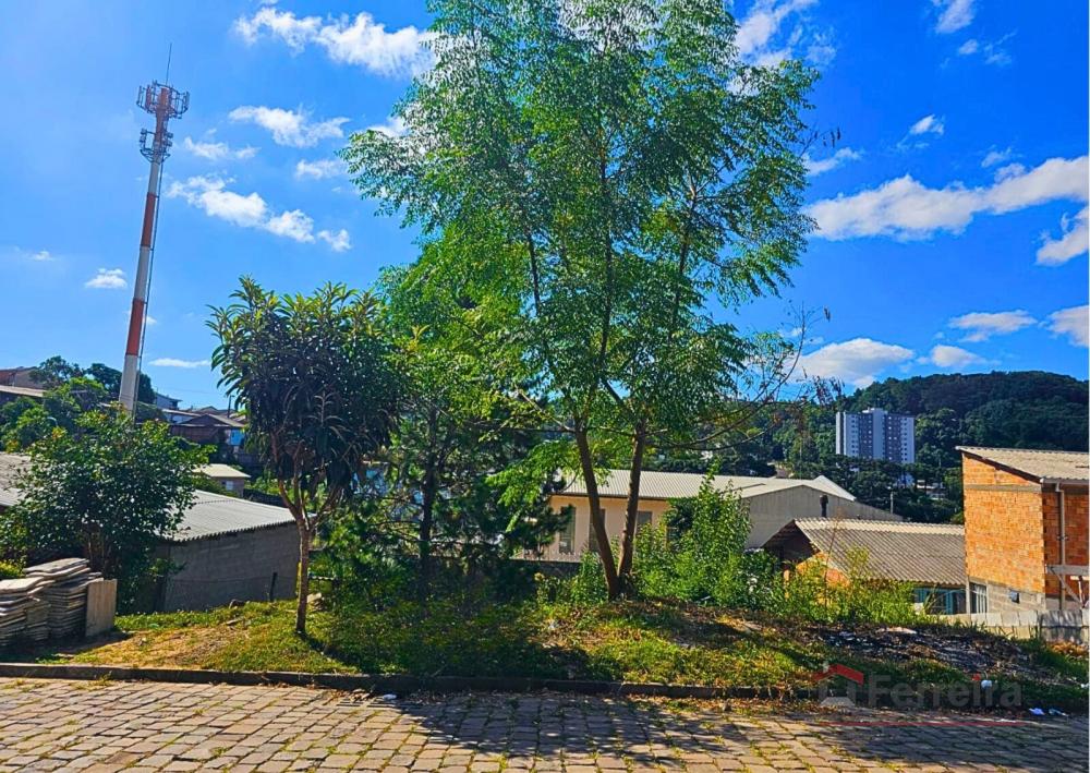 Ferreira Negócios Imobiliários