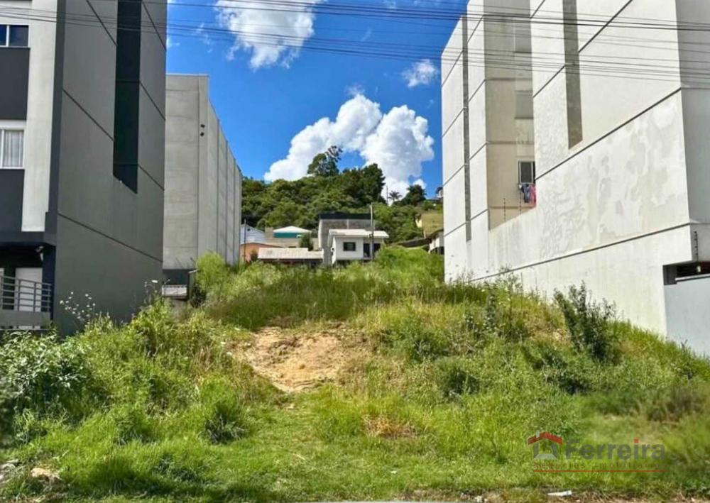 Ferreira Negócios Imobiliários